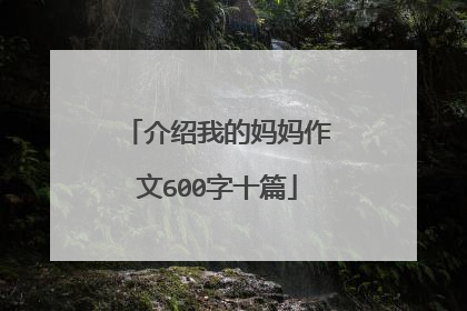 介绍我的妈妈作文600字十篇