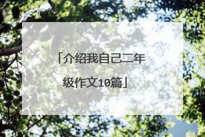 介绍我自己二年级作文10篇