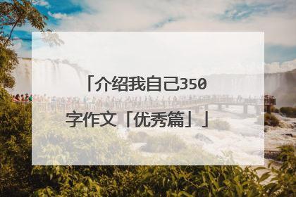 介绍我自己350字作文「优秀篇」