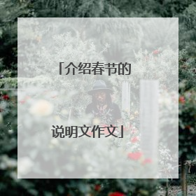 介绍春节的说明文作文