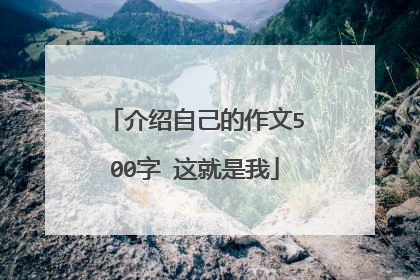 介绍自己的作文500字 这就是我