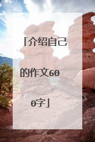 介绍自己的作文600字