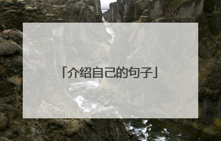 介绍自己的句子