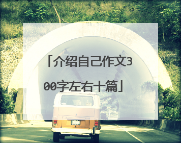 介绍自己作文300字左右十篇
