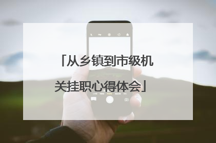 从乡镇到市级机关挂职心得体会