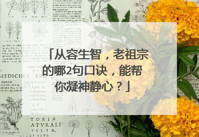 从容生智,老祖宗的哪2句口诀,能帮你凝神静心?