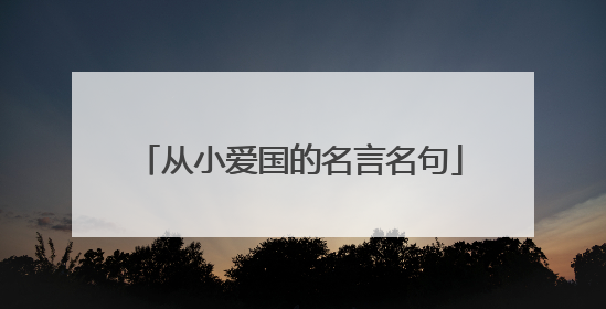 从小爱国的名言名句