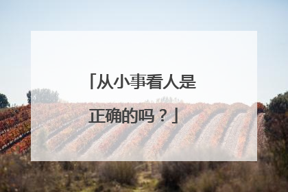 从小事看人是正确的吗？