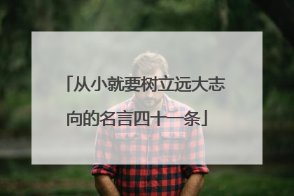 从小就要树立远大志向的名言四十一条