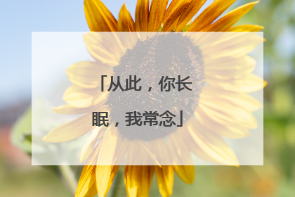 从此,你长眠,我常念