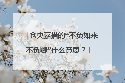 仓央嘉措的“不负如来不负卿”什么意思?
