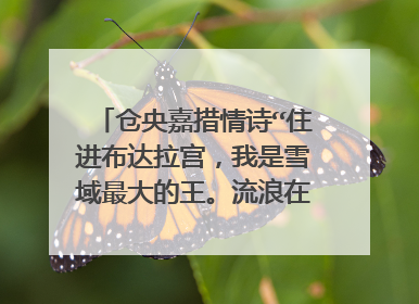 仓央嘉措情诗“住进布达拉宫,我是雪域最大的王。流浪在拉萨街头,我是世间最美的情郎。”求藏文!!!