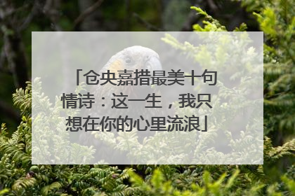 仓央嘉措最美十句情诗:这一生,我只想在你的心里流浪