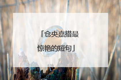 仓央嘉措最惊艳的短句