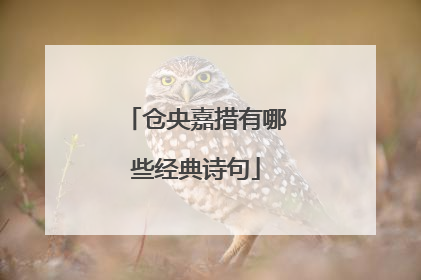 仓央嘉措有哪些经典诗句
