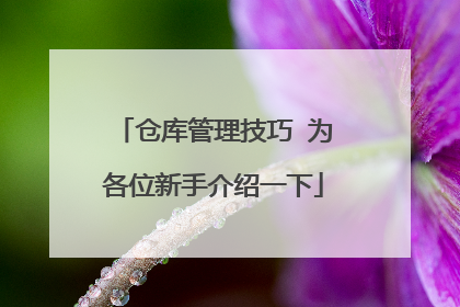 仓库管理技巧 为各位新手介绍一下