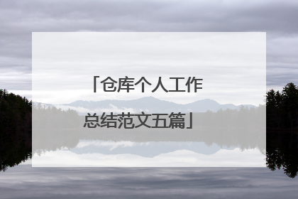 仓库个人工作总结范文五篇