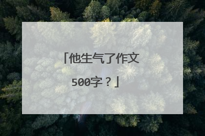 他生气了作文500字？