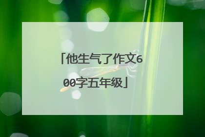 他生气了作文600字五年级