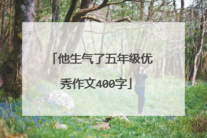 他生气了五年级优秀作文400字