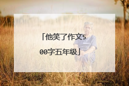 他笑了作文500字五年级
