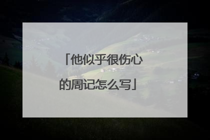 他似乎很伤心的周记怎么写