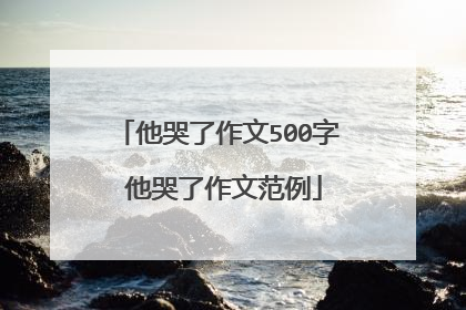 他哭了作文500字 他哭了作文范例