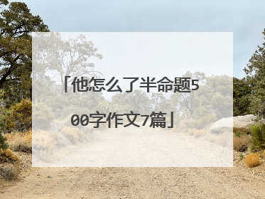 他怎么了半命题500字作文7篇