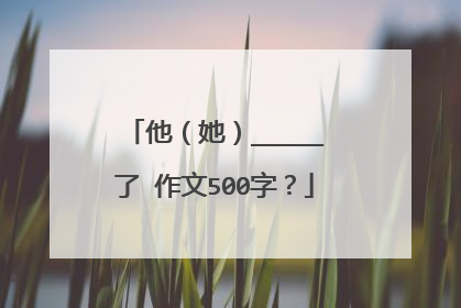 他（她）_____了 作文500字？