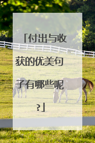 付出与收获的优美句子有哪些呢?