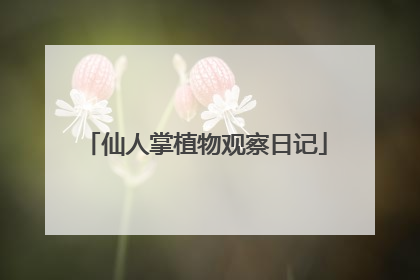 仙人掌植物观察日记