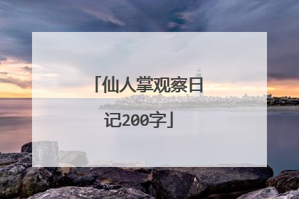 仙人掌观察日记200字