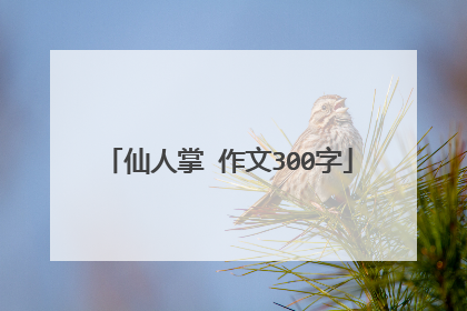 仙人掌 作文300字