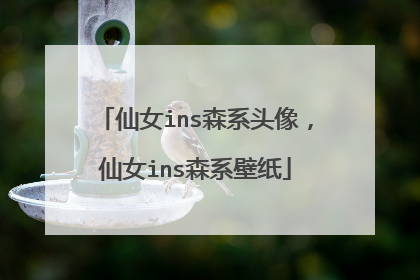 仙女ins森系头像，仙女ins森系壁纸