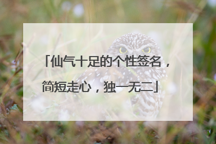 仙气十足的个性签名,简短走心,独一无二