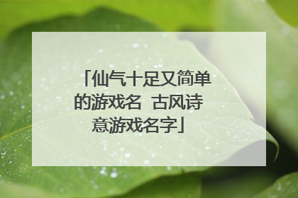 仙气十足又简单的游戏名 古风诗意游戏名字