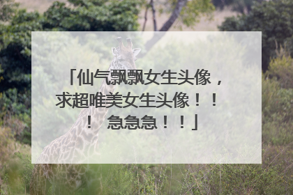 仙气飘飘女生头像，求超唯美女生头像！！！ 急急急！！
