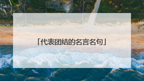 代表团结的名言名句