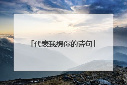 代表我想你的诗句