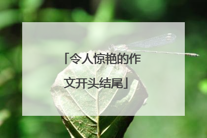 令人惊艳的作文开头结尾