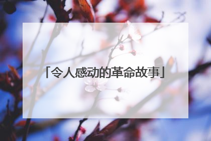 令人感动的革命故事