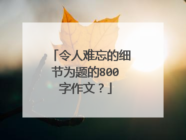 令人难忘的细节为题的800字作文？