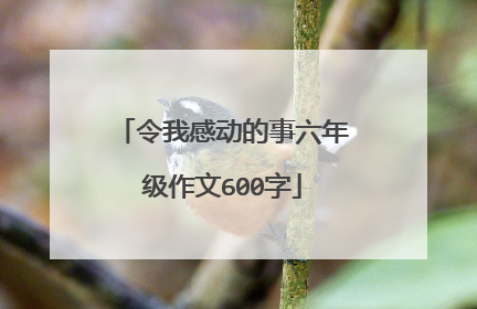 令我感动的事六年级作文600字