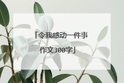 令我感动一件事作文300字