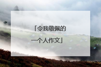 令我敬佩的一个人作文