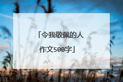 令我敬佩的人作文500字