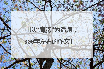 以“肩膀”为话题，800字左右的作文