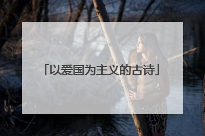 以爱国为主义的古诗