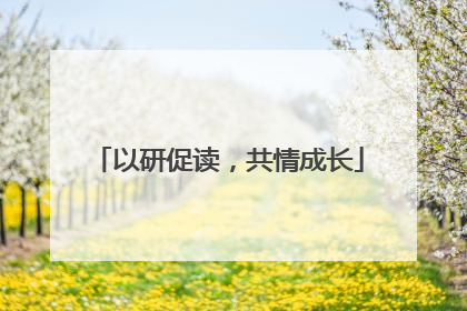 以研促读，共情成长