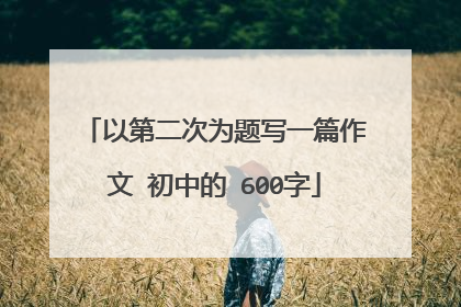 以第二次为题写一篇作文 初中的 600字